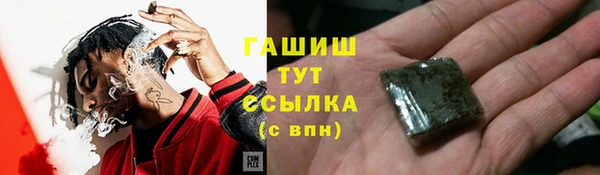 гашик Белокуриха