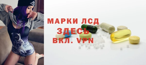 гашик Белокуриха