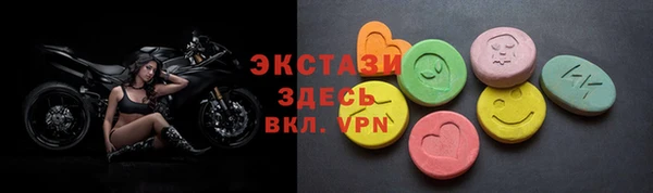 крисы Богородицк