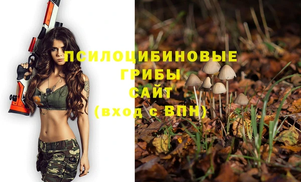 прущий лед Белоозёрский