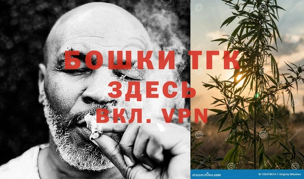 мдпв Богородск